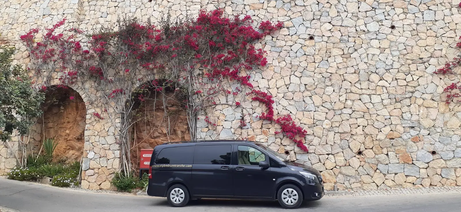 Vip Yahşi Transfer